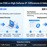 高防CDN和高防IP有什么区别？一份清晰的指南，帮助您做出选择。