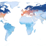 Who Is the Largest CDN Provider? Understanding Real Influence Through Global Traffic Share